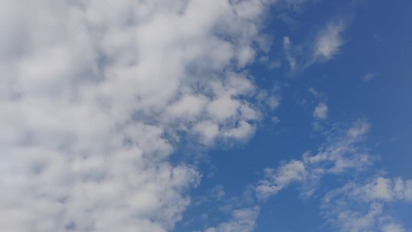 Cover Photo